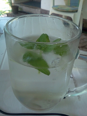Ice water with fresh mint