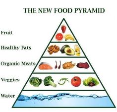 New food pyramid